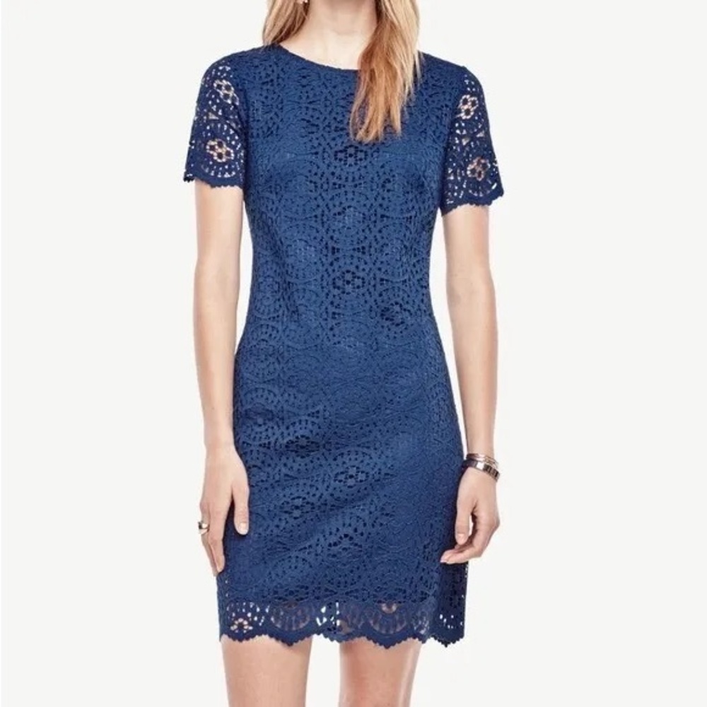 Ann Taylor Mosaic Lace Shift Dress in Navy Blue